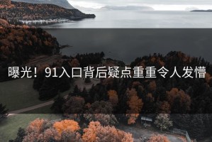 曝光！91入口背后疑点重重令人发懵