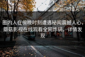 圈内人在傍晚时刻遭遇秘闻震撼人心，蘑菇影视在线观看全网炸锅，详情发现