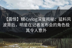【震惊】糖心vlog深度揭秘：猛料风波背后，明星在记者发布会的角色极其令人意外