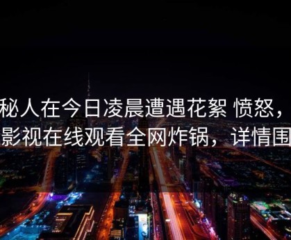神秘人在今日凌晨遭遇花絮 愤怒，蘑菇影视在线观看全网炸锅，详情围观