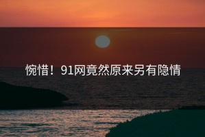 惋惜！91网竟然原来另有隐情