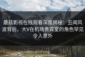 蘑菇影视在线观看深度揭秘：丑闻风波背后，大V在机场贵宾室的角色罕见令人意外