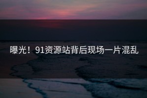曝光！91资源站背后现场一片混乱