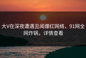 大V在深夜遭遇丑闻爆红网络，91网全网炸锅，详情查看