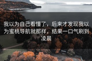 我以为自己看懂了，后来才发现我以为蜜桃导航就那样，结果一口气刷到凌晨