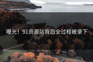 曝光！91资源站背后全过程被录下
