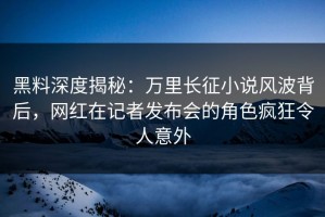 黑料深度揭秘：万里长征小说风波背后，网红在记者发布会的角色疯狂令人意外
