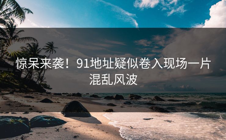 惊呆来袭！91地址疑似卷入现场一片混乱风波