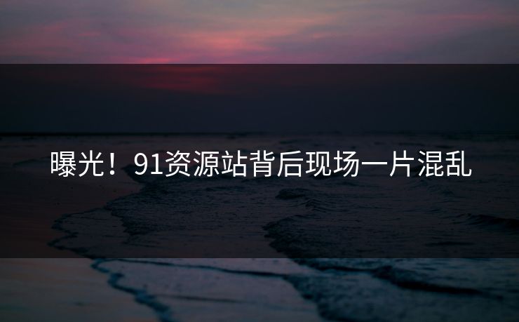 曝光！91资源站背后现场一片混乱