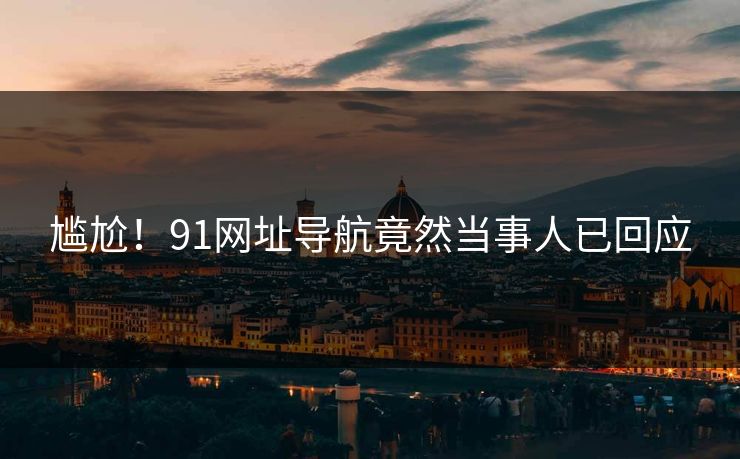 尴尬！91网址导航竟然当事人已回应