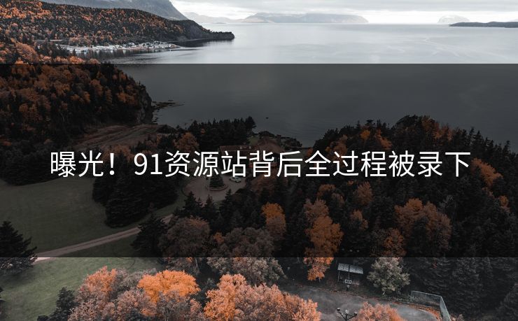 曝光！91资源站背后全过程被录下