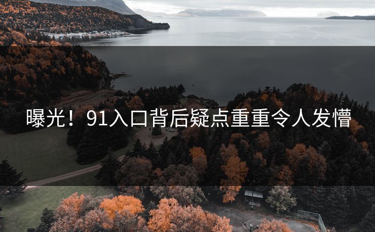 曝光！91入口背后疑点重重令人发懵