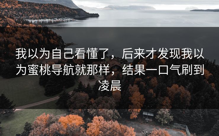 我以为自己看懂了,后来才发现我以为蜜桃导航就那样,结果一口气刷到凌晨 我以为自己看懂了,后来才发现我以为蜜桃导航就那样,结果一口气刷到凌晨