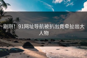 刚刚！91网址导航被扒出竟牵扯出大人物