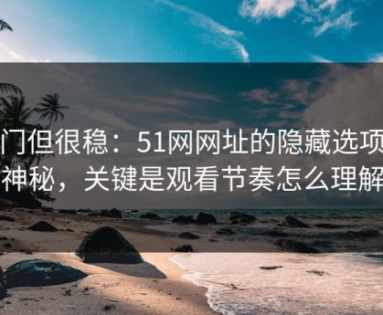 冷门但很稳：51网网址的隐藏选项不神秘，关键是观看节奏怎么理解