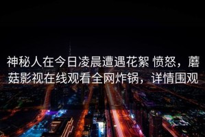 神秘人在今日凌晨遭遇花絮 愤怒，蘑菇影视在线观看全网炸锅，详情围观