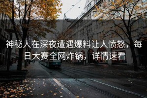 神秘人在深夜遭遇爆料让人愤怒，每日大赛全网炸锅，详情速看