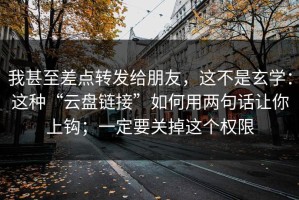 我甚至差点转发给朋友，这不是玄学：这种“云盘链接”如何用两句话让你上钩；一定要关掉这个权限