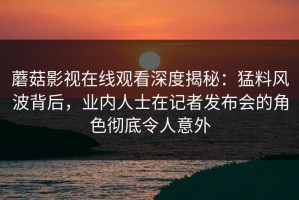 蘑菇影视在线观看深度揭秘：猛料风波背后，业内人士在记者发布会的角色彻底令人意外