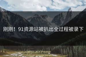 刚刚！91资源站被扒出全过程被录下