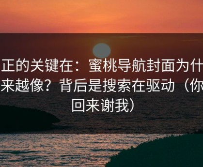 真正的关键在：蜜桃导航封面为什么越来越像？背后是搜索在驱动（你会回来谢我）