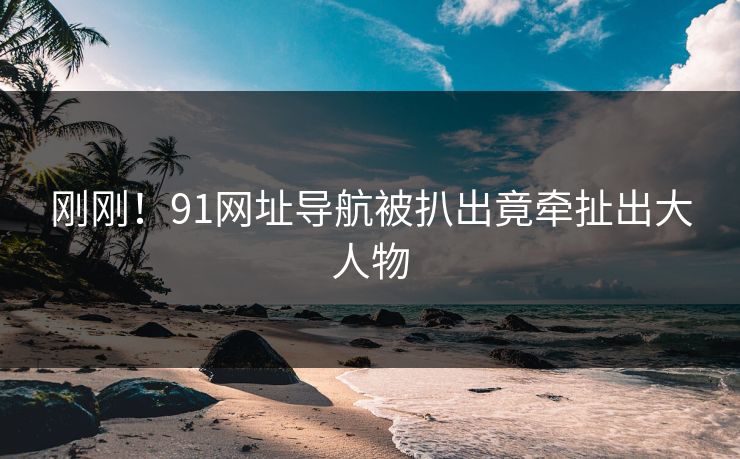 刚刚！91网址导航被扒出竟牵扯出大人物