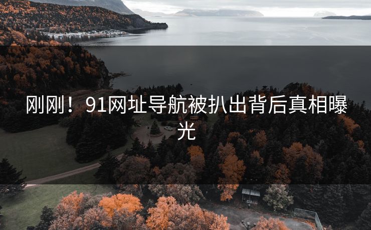 刚刚！91网址导航被扒出背后真相曝光