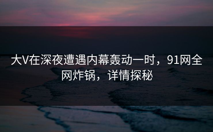 大V在深夜遭遇内幕轰动一时，91网全网炸锅，详情探秘