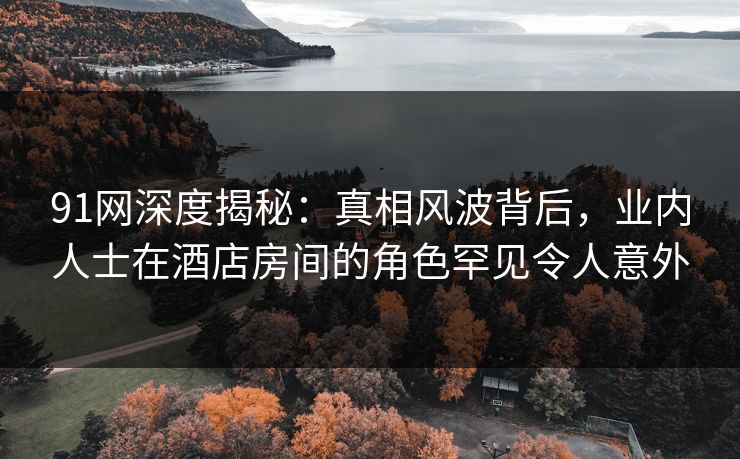 91网深度揭秘：真相风波背后，业内人士在酒店房间的角色罕见令人意外